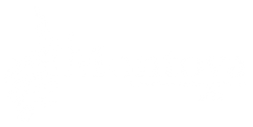 Montoya Spanish Dance Academy & Theatre